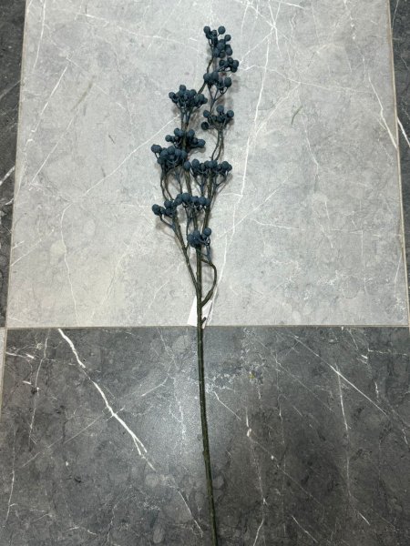 عرق بلوبري